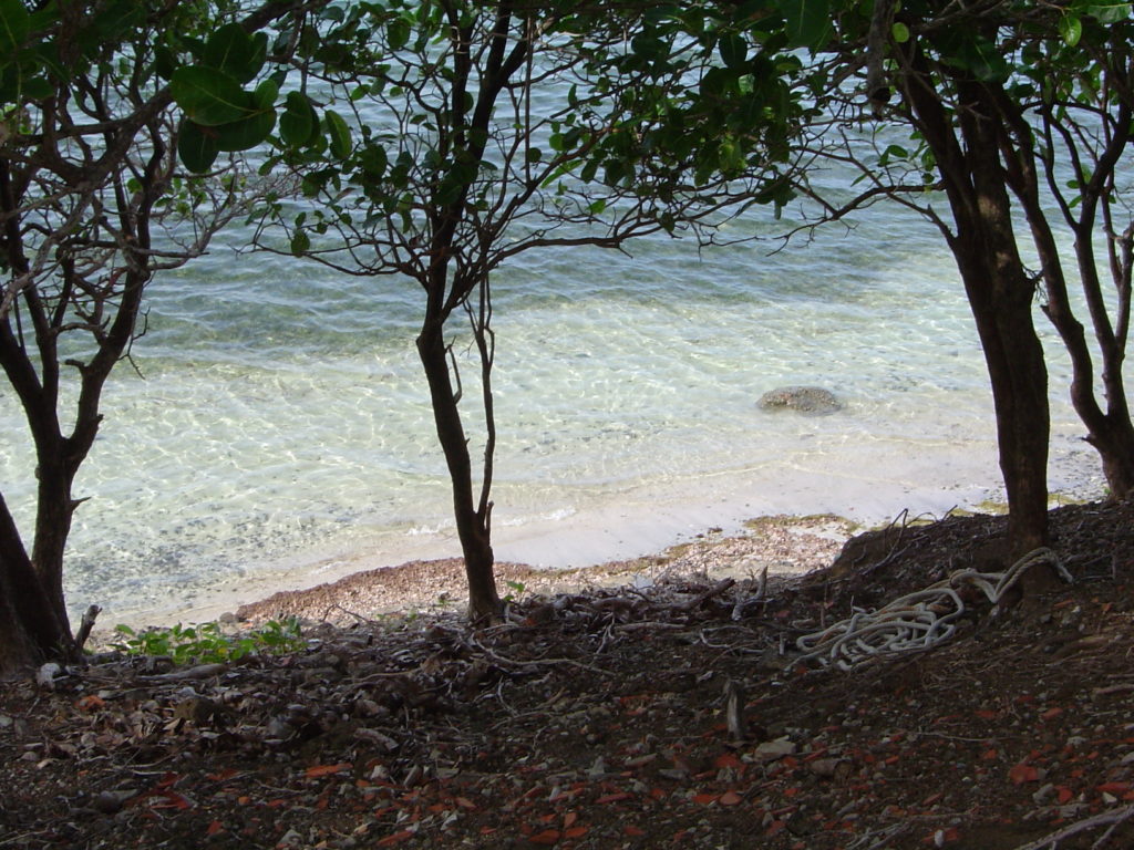 martinique